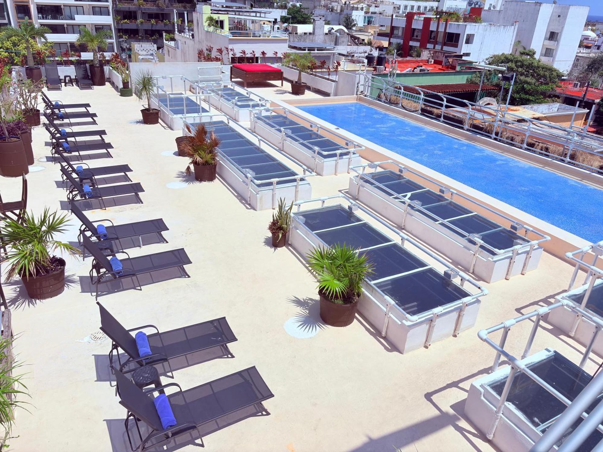 Hotel Kavia 5Th Avenida (Adults Only) Playa del Carmen Bagian luar foto
