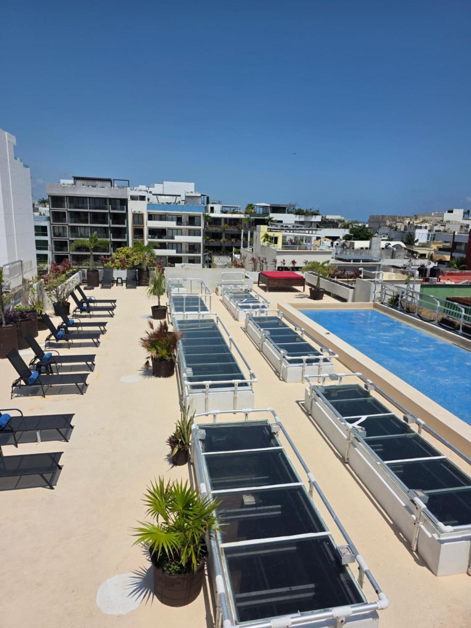 Hotel Kavia 5Th Avenida (Adults Only) Playa del Carmen Bagian luar foto