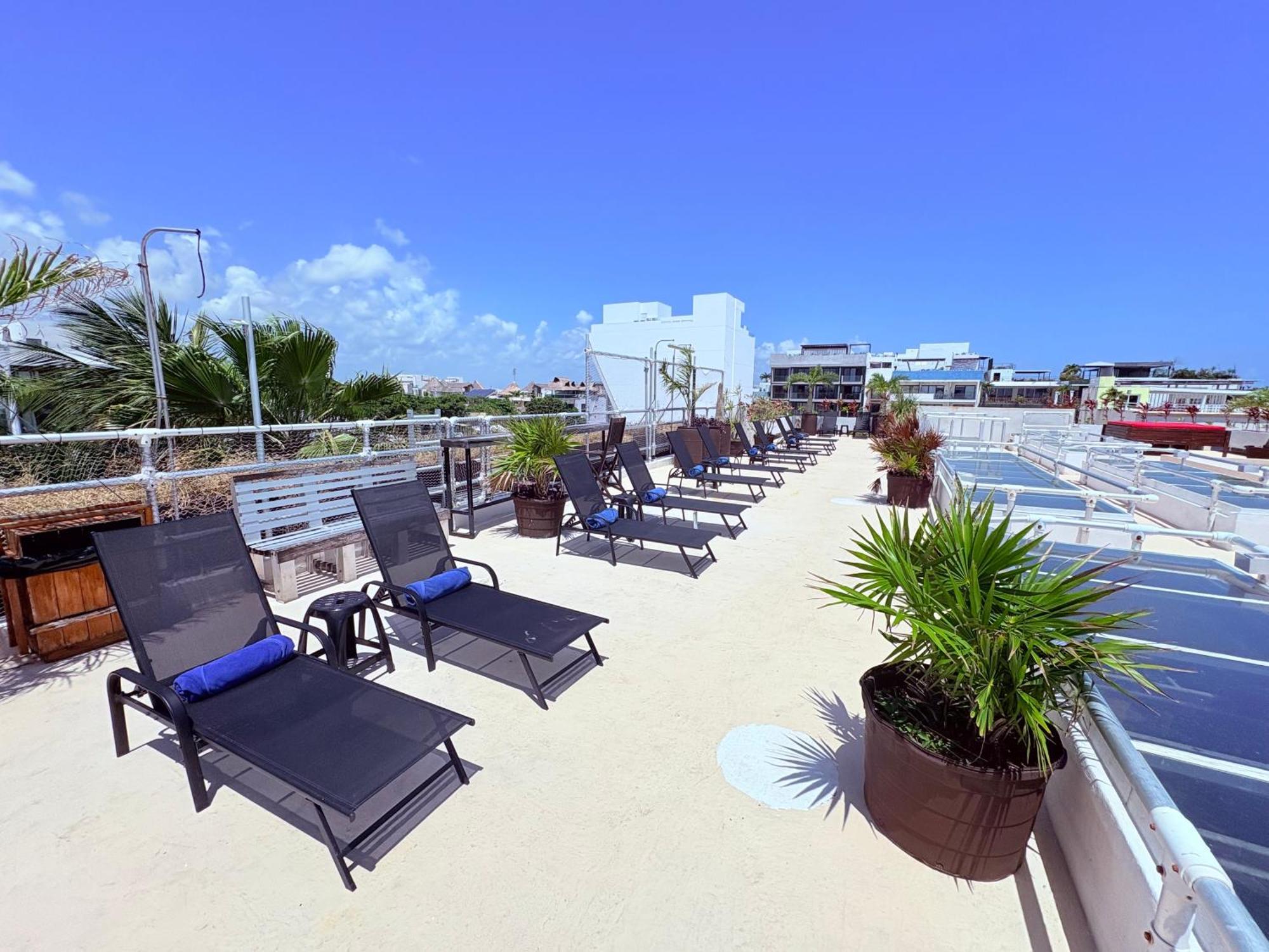 Hotel Kavia 5Th Avenida (Adults Only) Playa del Carmen Bagian luar foto